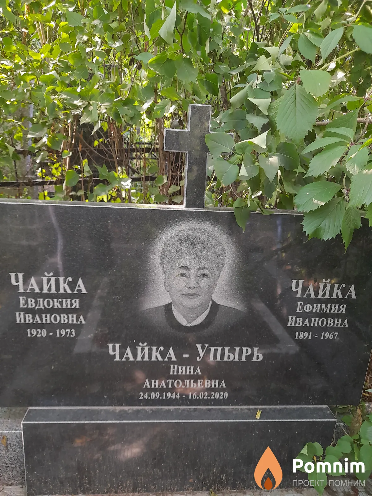 Чайка-Упырь Нина Анатольевна