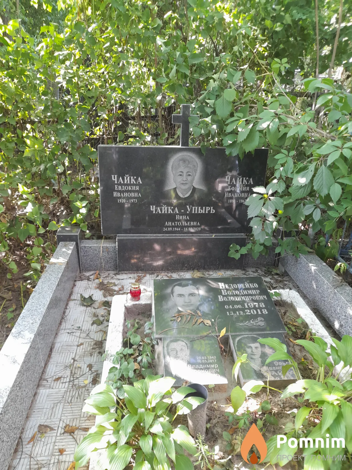 Чайка Евдокия Ивановна