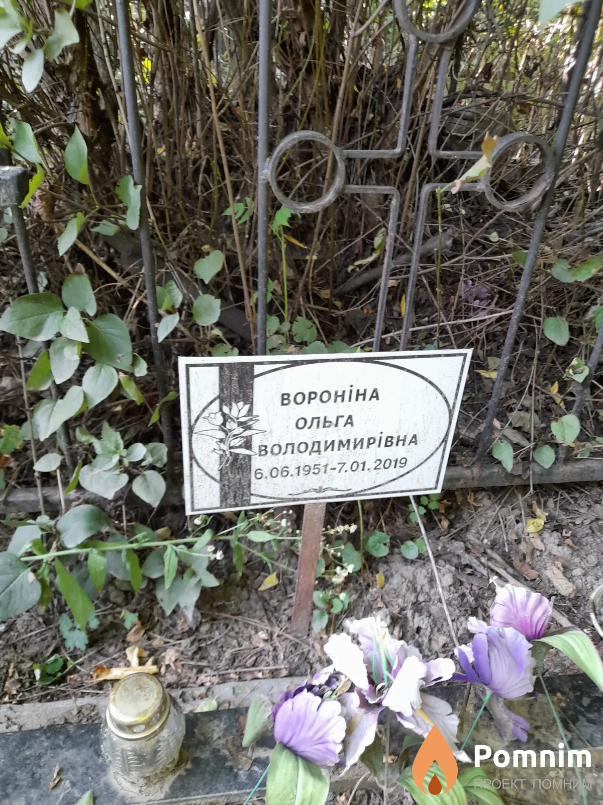 Воронина Ольга Владимировна