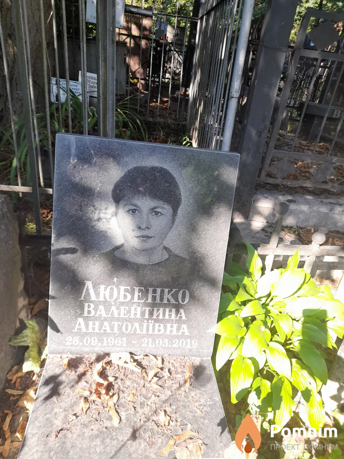 Любенко Валентина Анатольевна