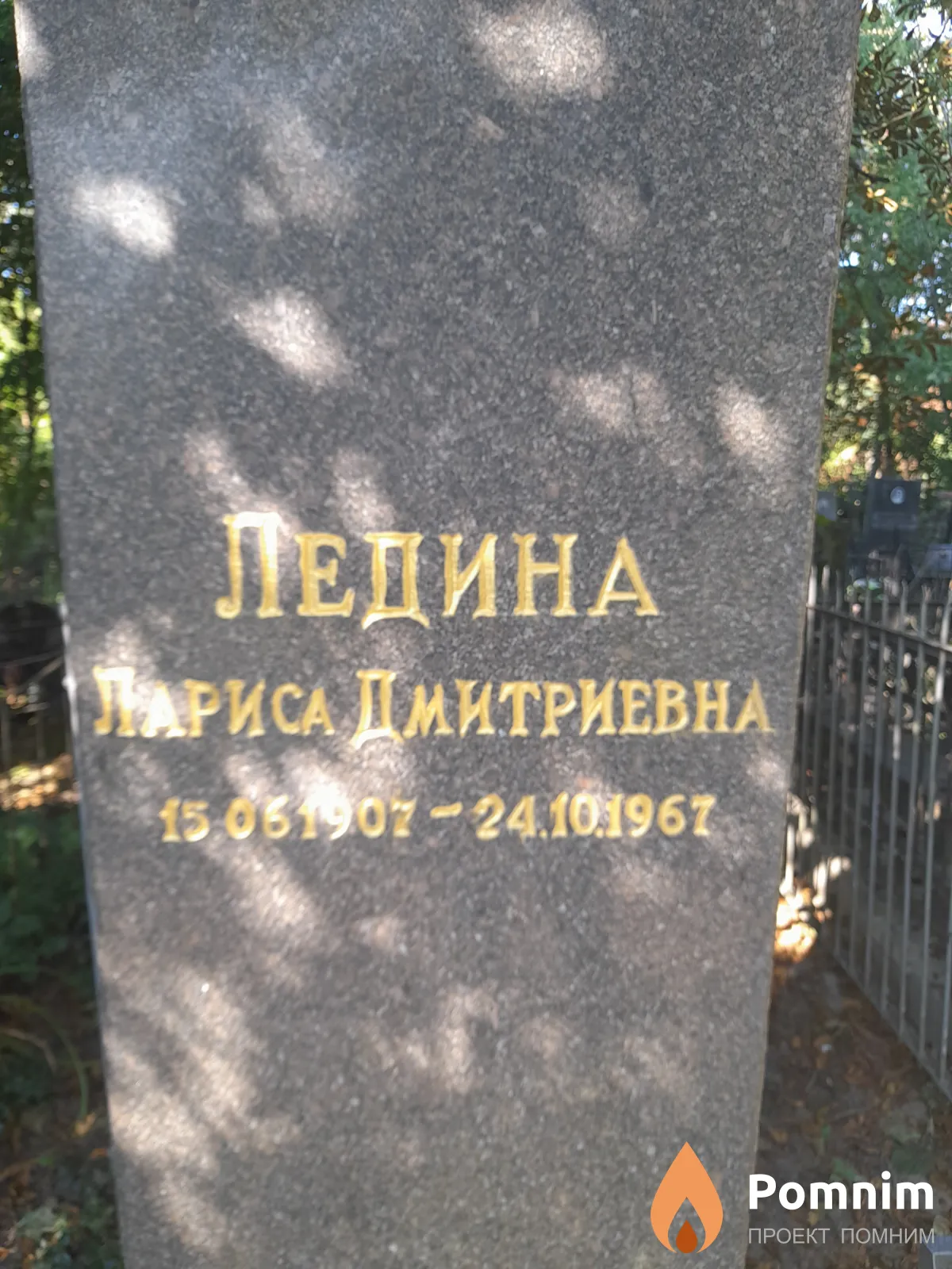 Ледина Лариса Дмитриевна