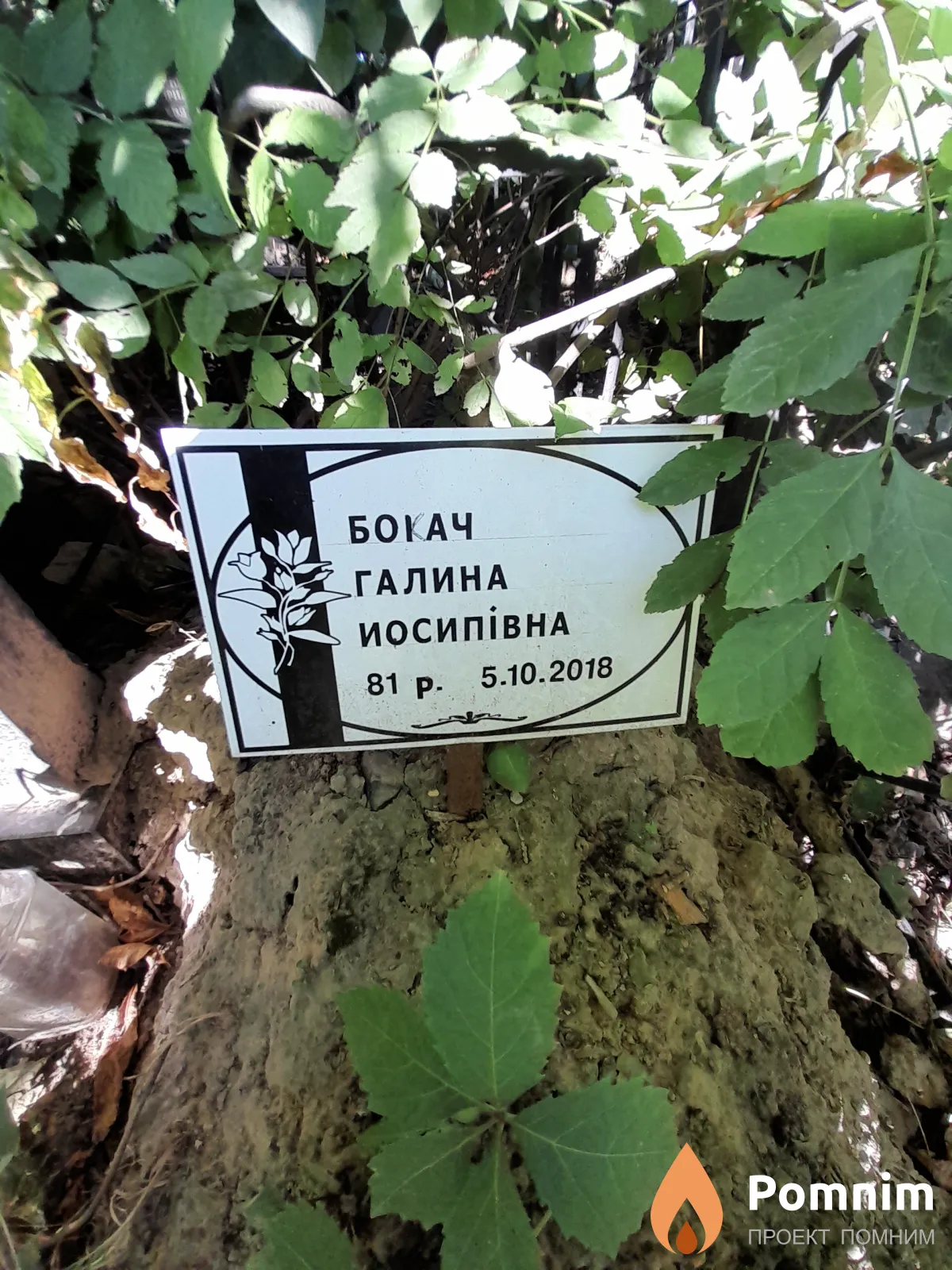 Бокач Галина Иосиповна