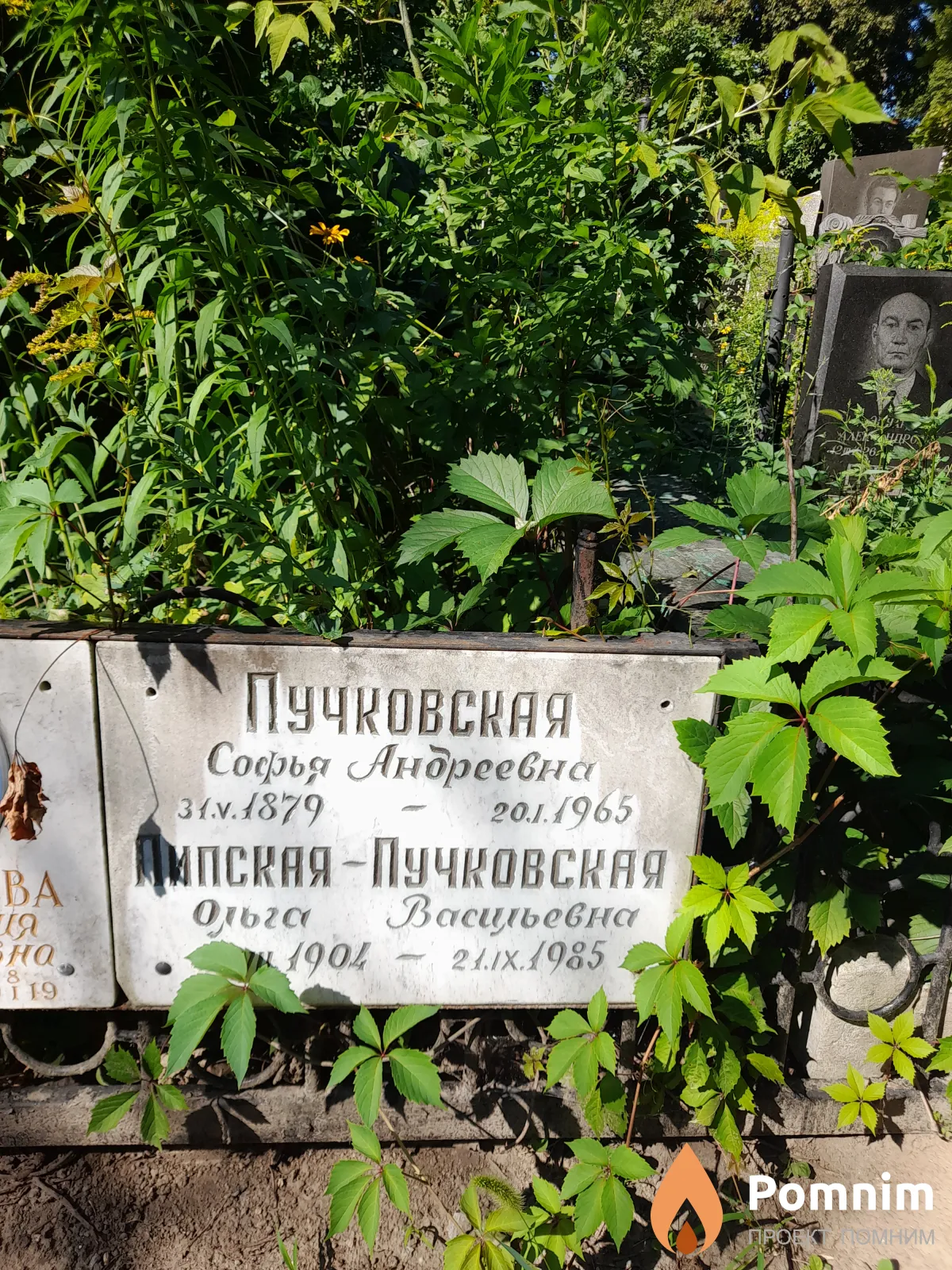 Липская-Пучковская Ольга Васильевна