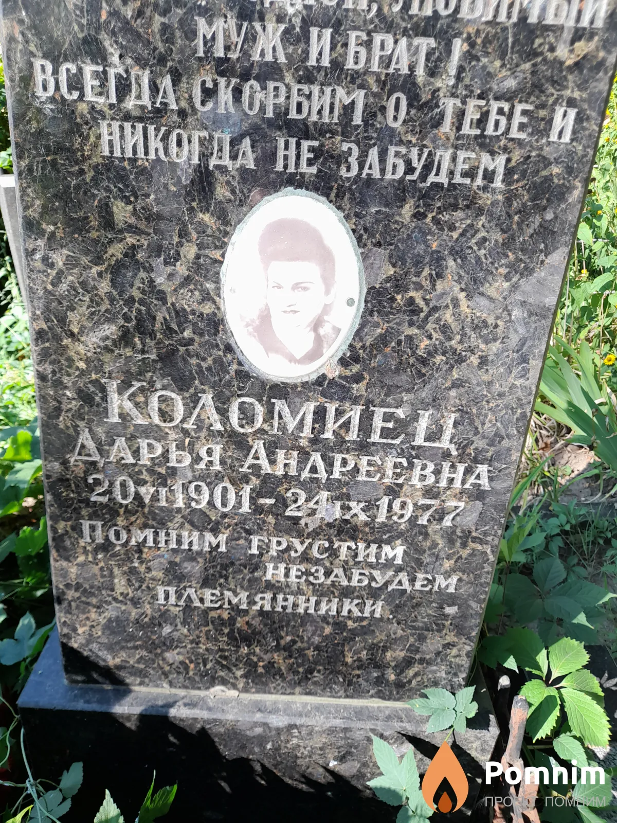 Коломиец Дарья Андреевна