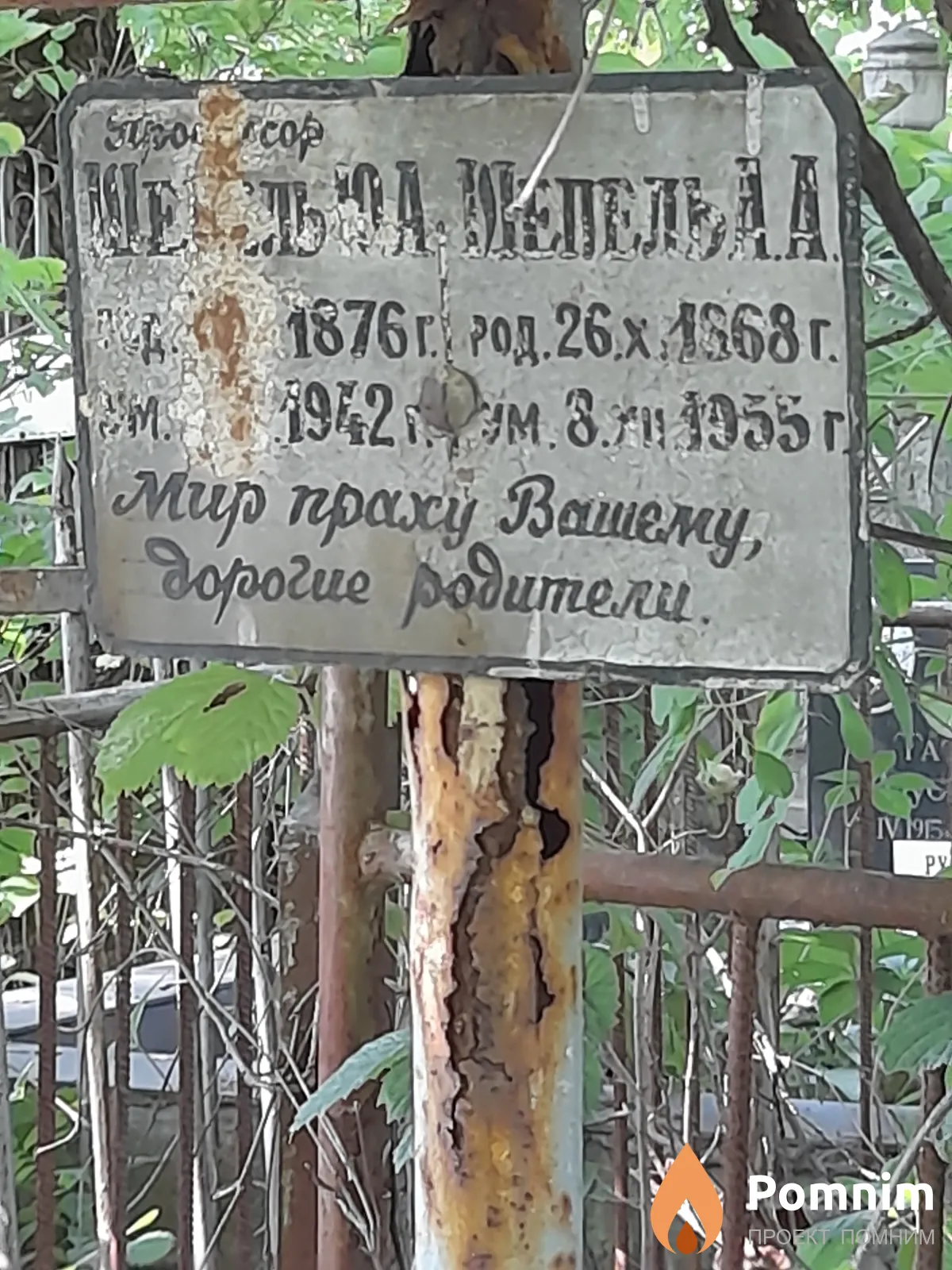 Шепель Ю. А.