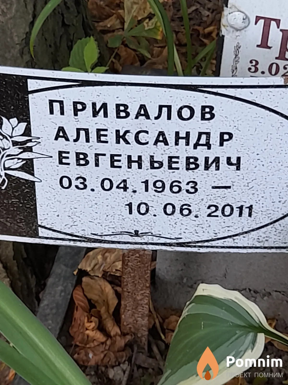 Привалов Александр Евгеньевич