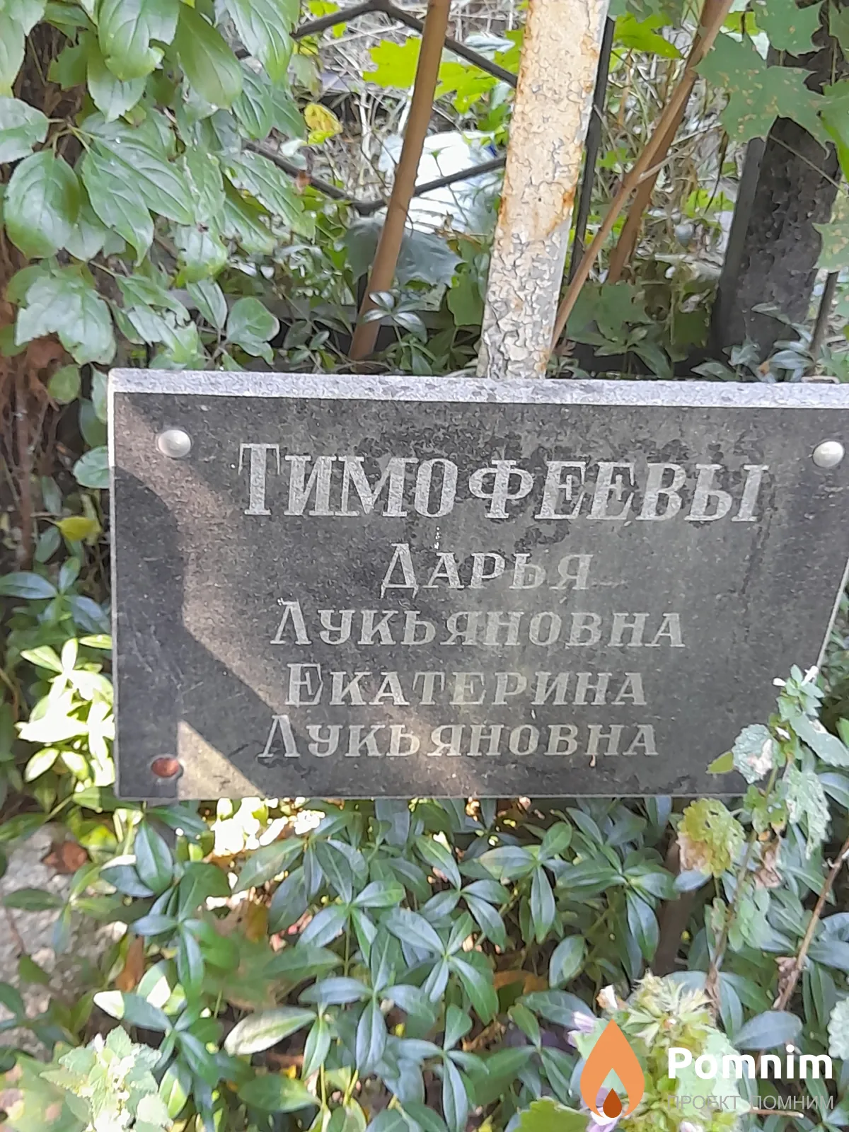Тимофеева Дарья Лукьяновна