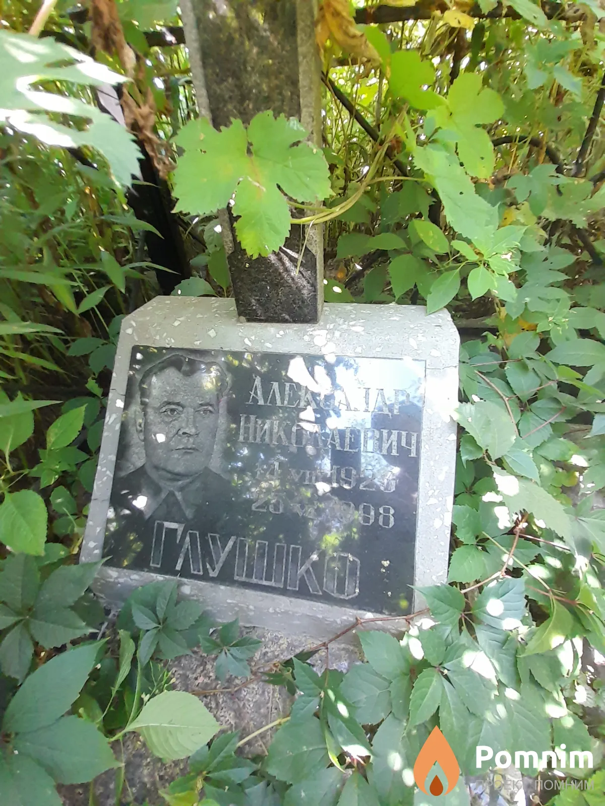 Глушко Александр Николаевич