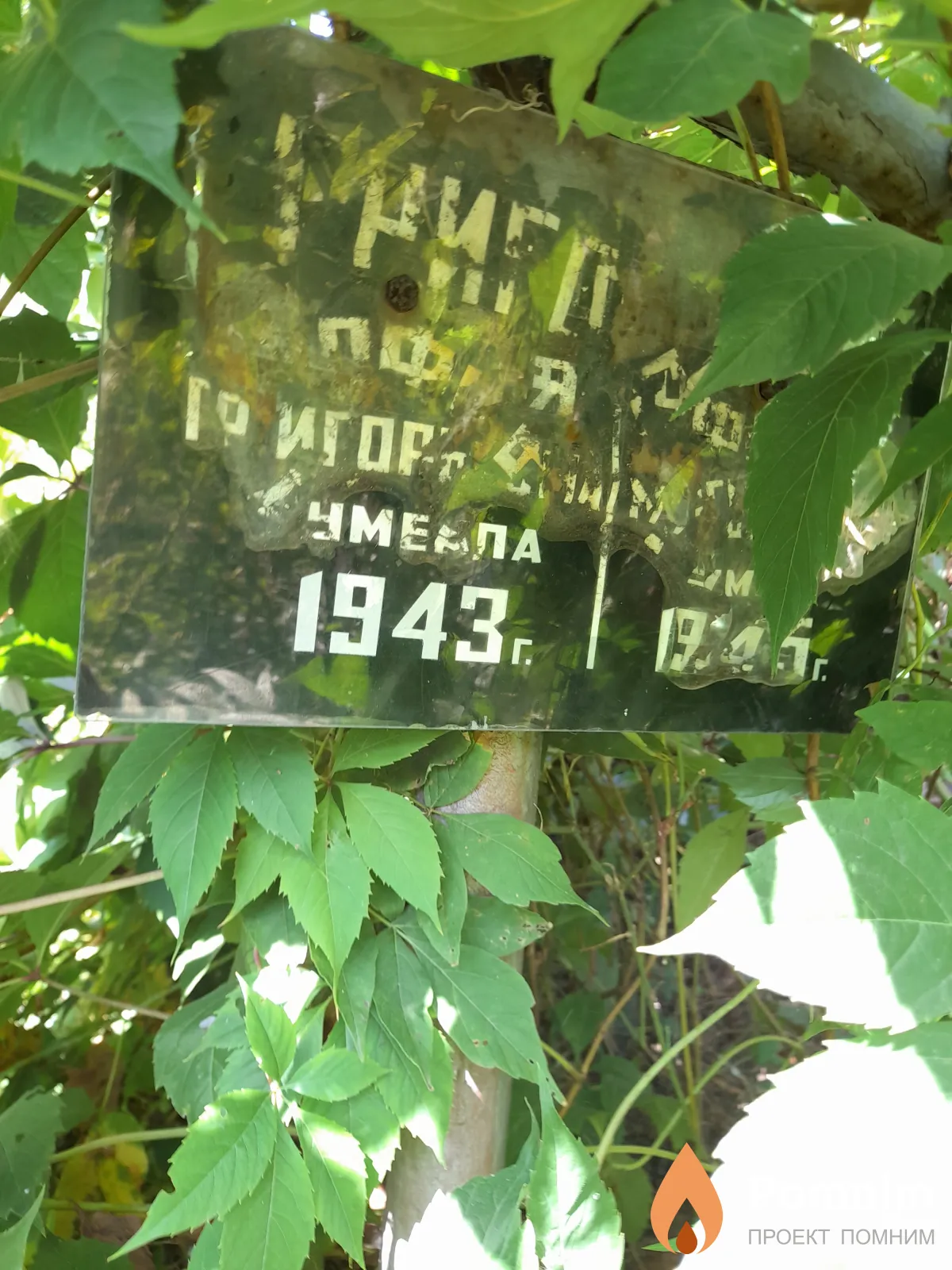 Григорьева София Григорьевна