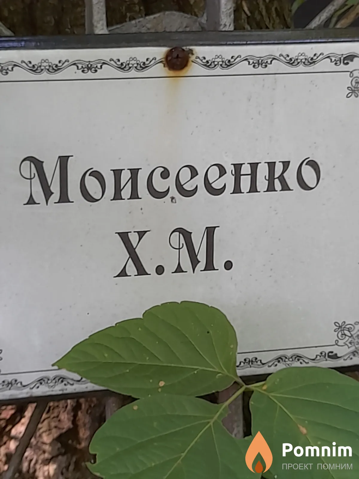Моисеенко Х. М.