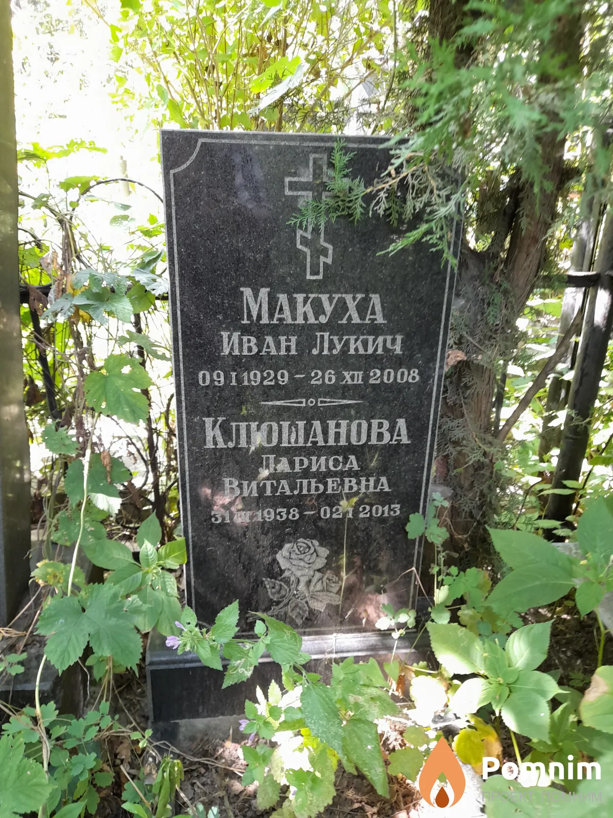 Клюшанова Лариса Витальевна