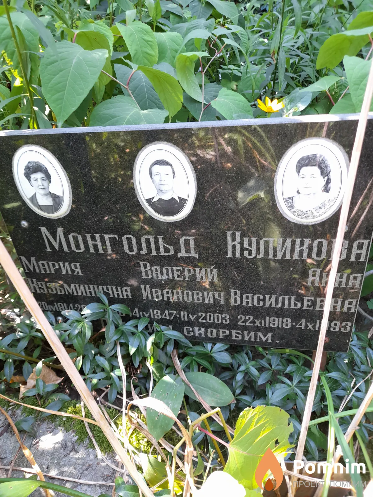 Куликова Анна Васильевна