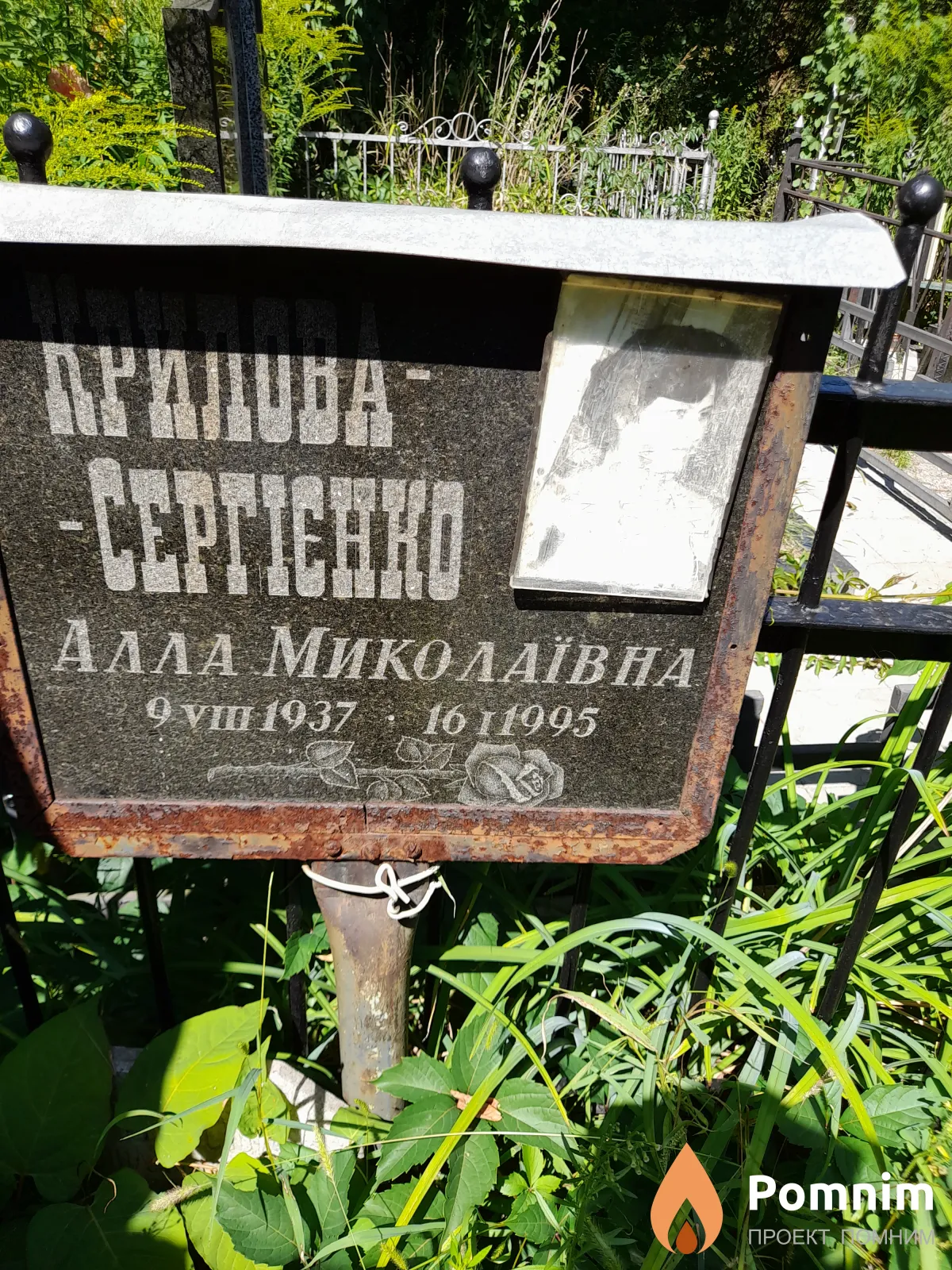 Крылова-Сергиенко Алла Николаевна