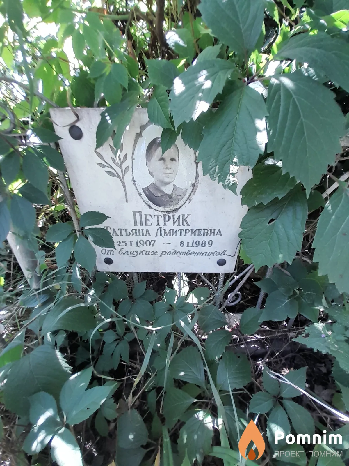 Пертик Татьяна Дмитриевна