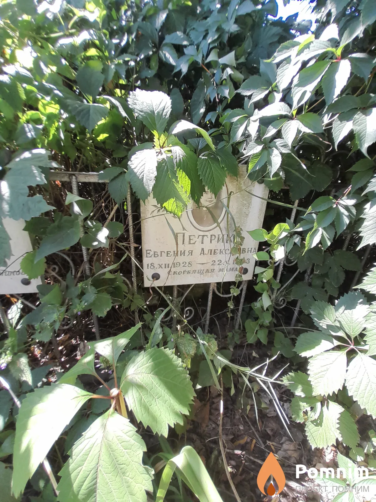 Петрик Евгения Алексеевна
