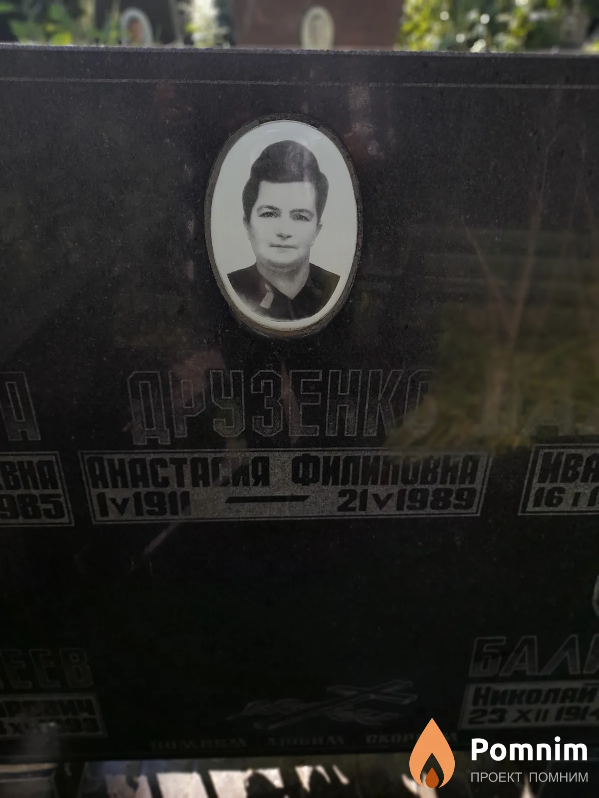 Друзенко Анастасия Филипповна