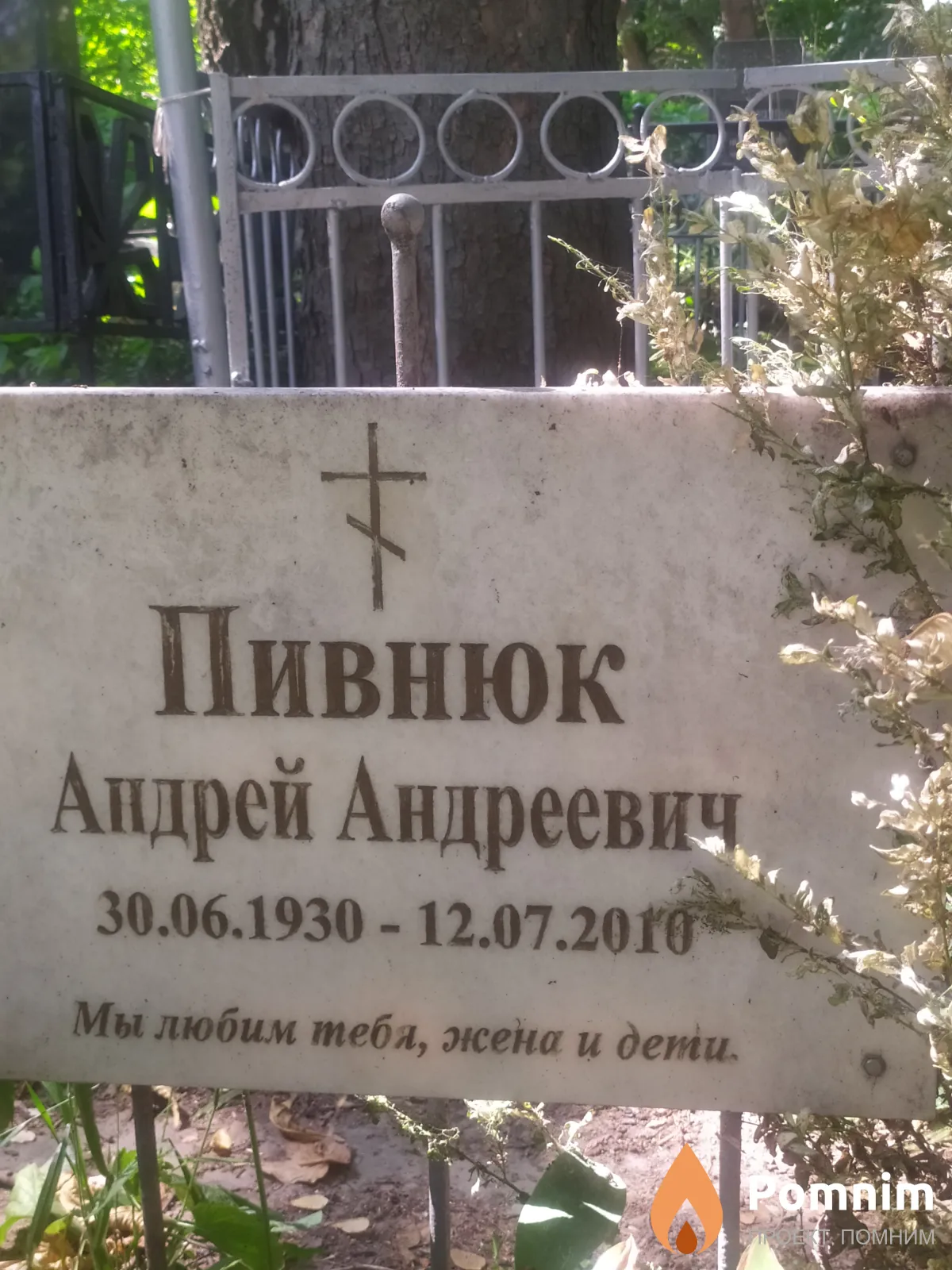 Пивнюк Андрей Андреевич