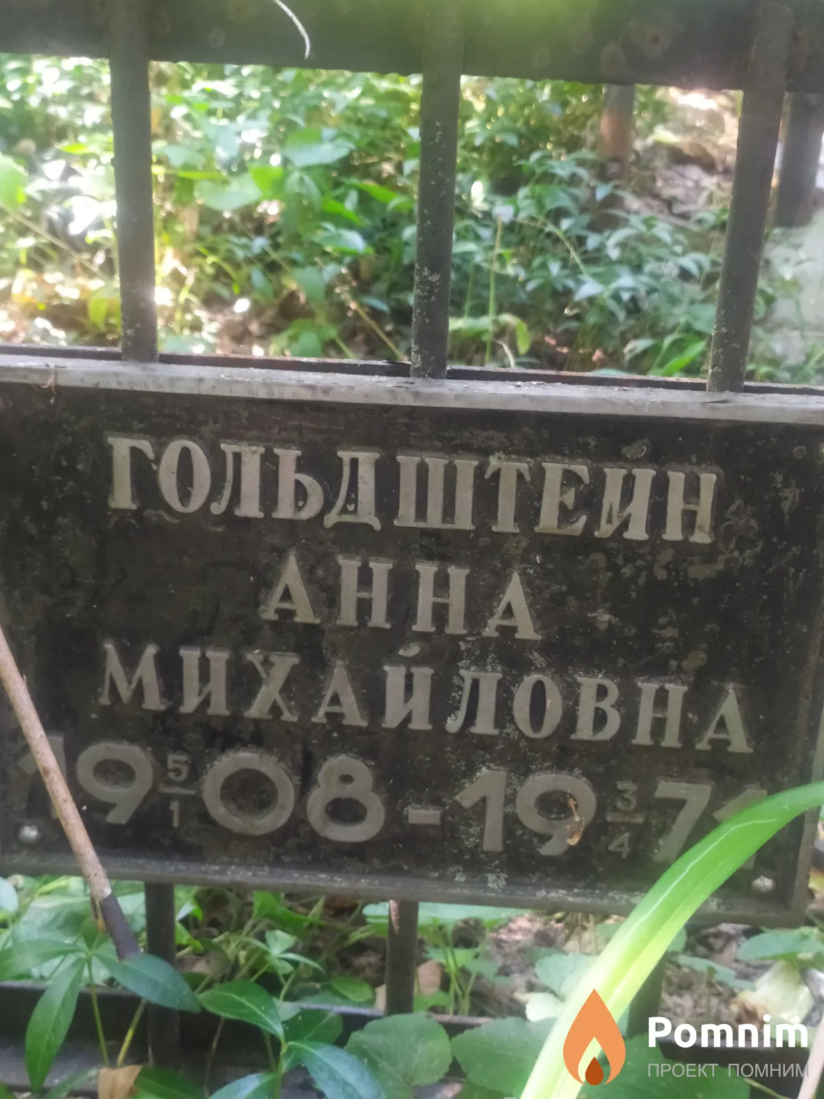 Гольдштейн Анна Михайловна