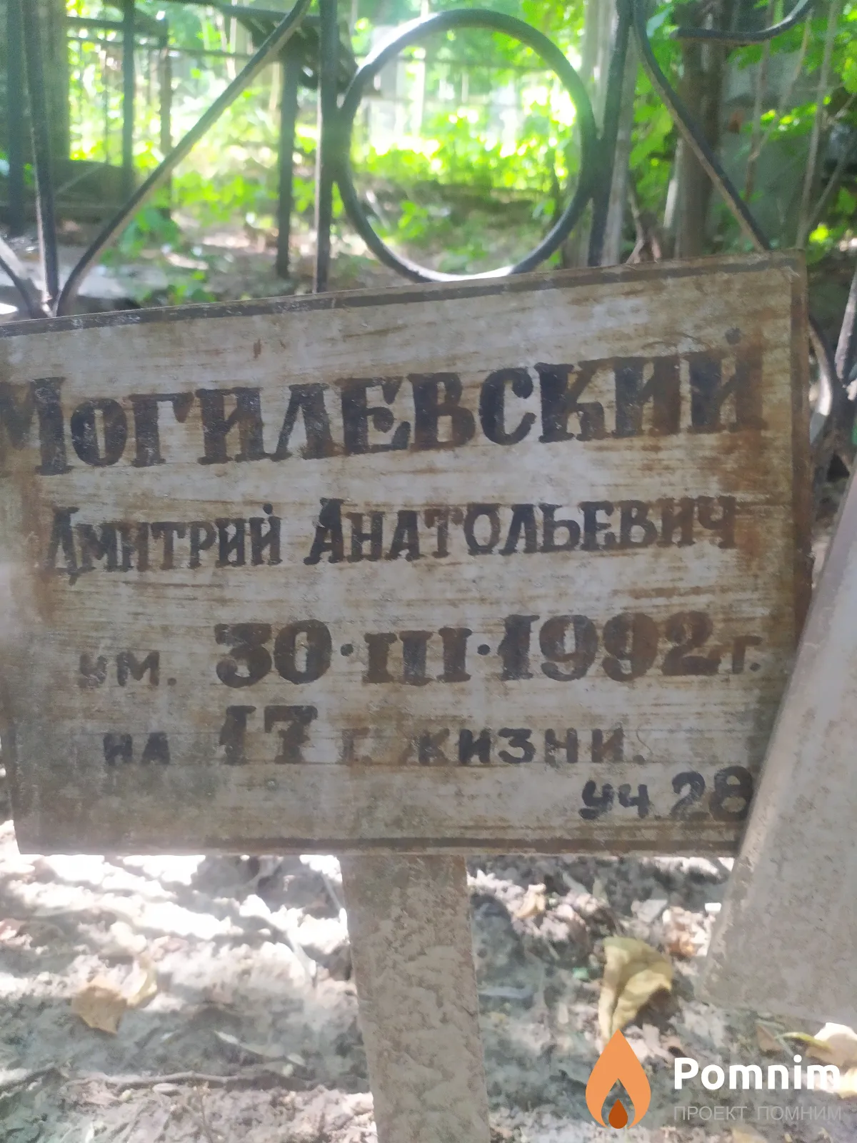 Огилевски Дмитрий Анатольевич