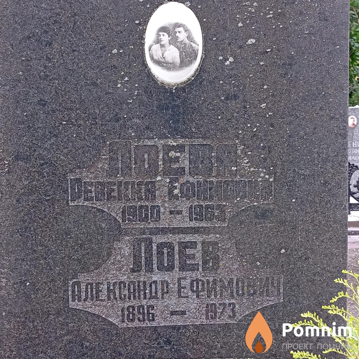 Лоев Алеесандр Ефимович