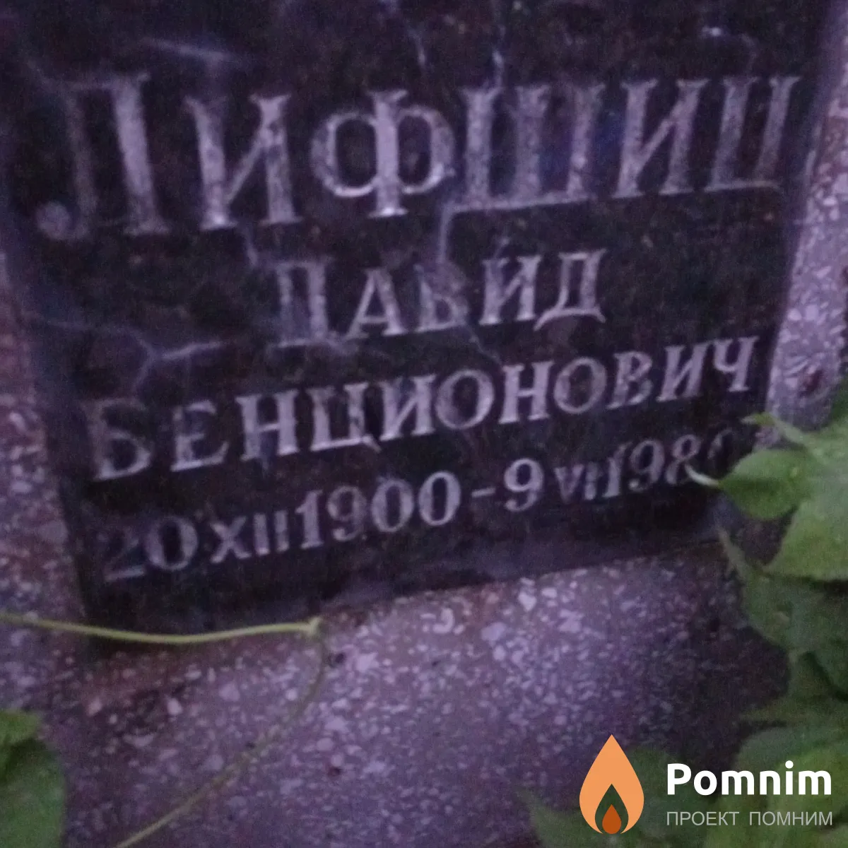 Лившиц Давид Бенционович