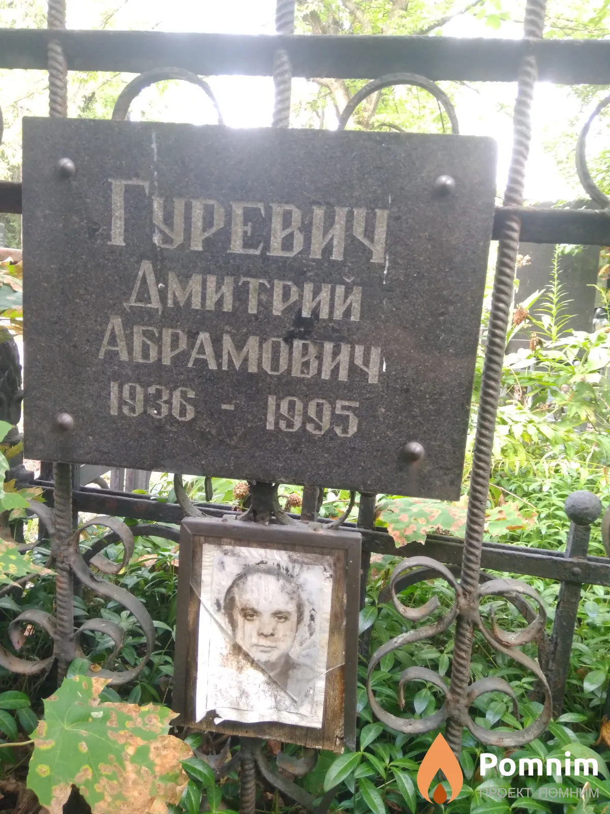 Гуревич Дмитрий Абрамович