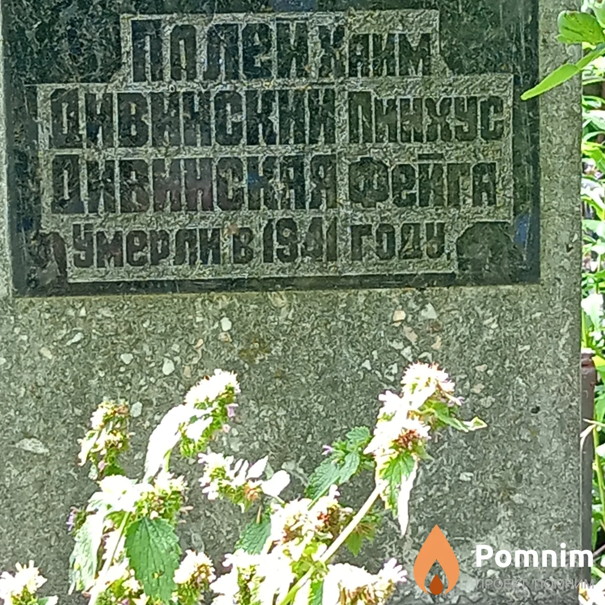Дивинский Пинхус