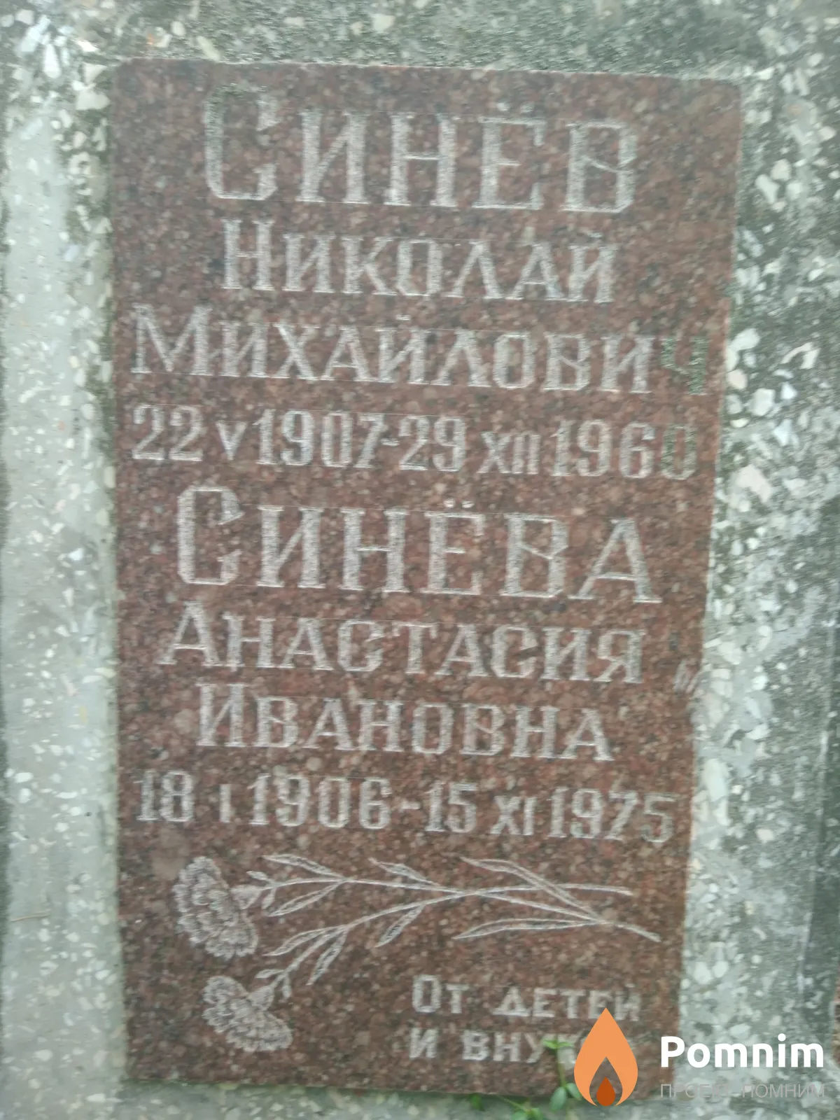 Ивановна Синёва Анастасия