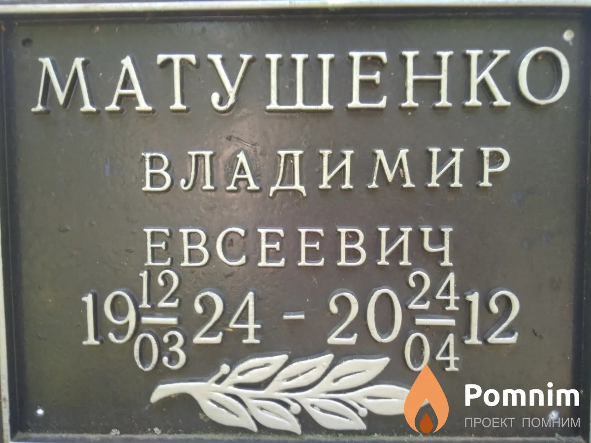 Матушенко Владимир Евсеевич