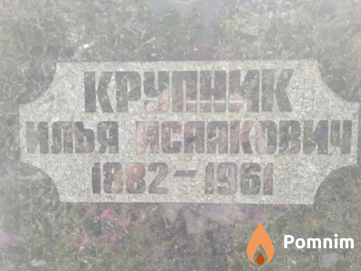 Крупник Илья Исаакович