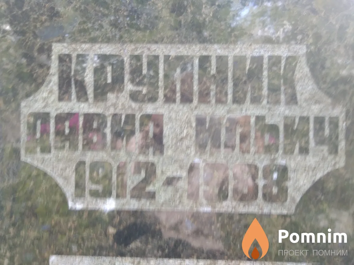 Крупник Давид Ильич