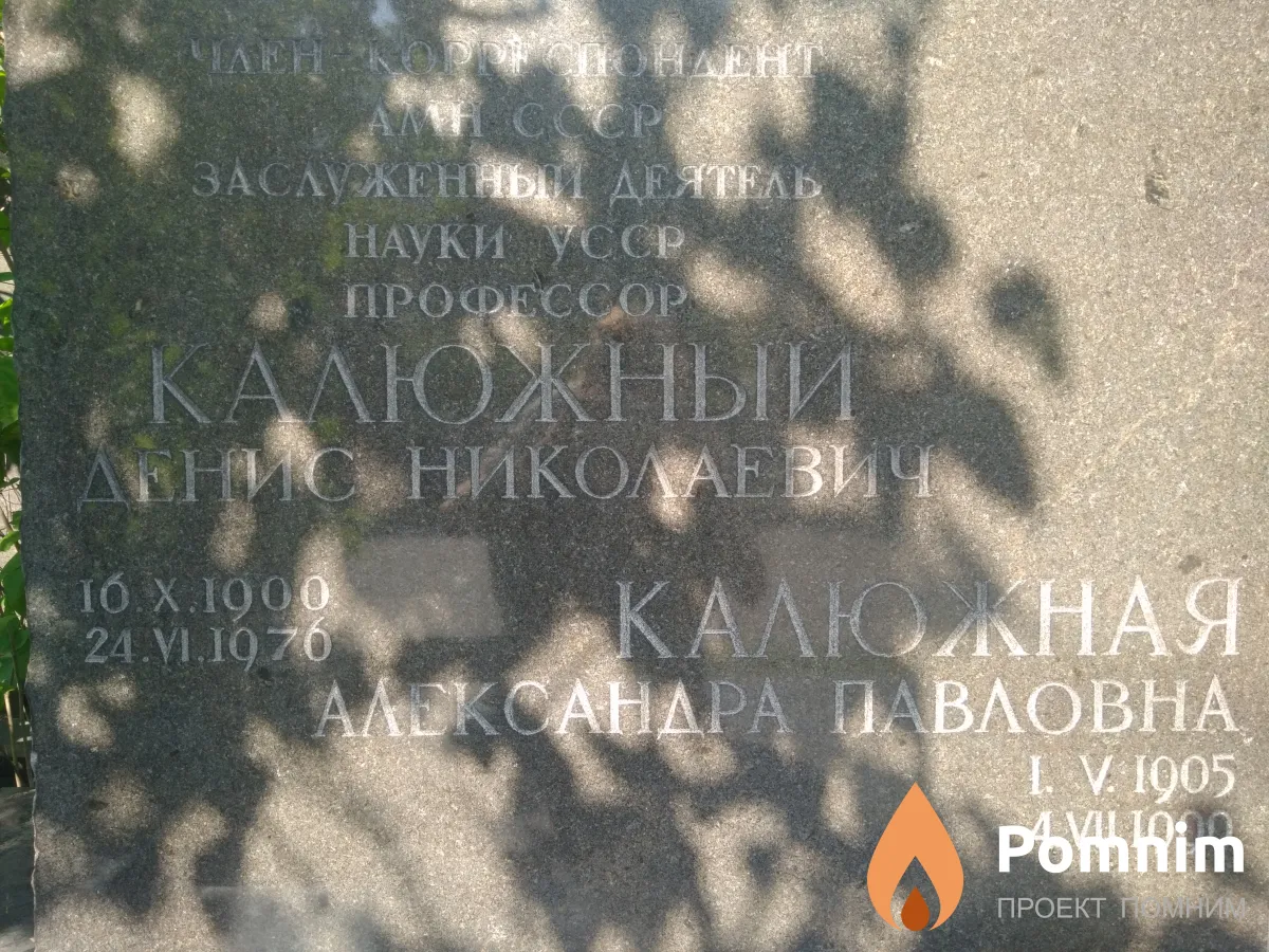 Калюжный Денис Николаевич