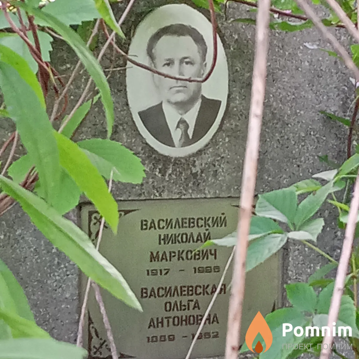 Василевская Ольга Антоновна