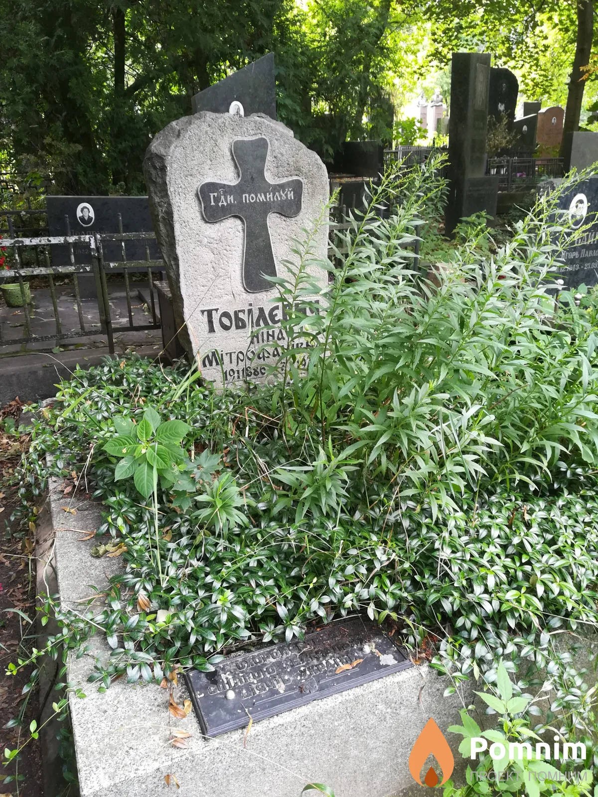 Тобілєвич Ніна Мітрофанівна