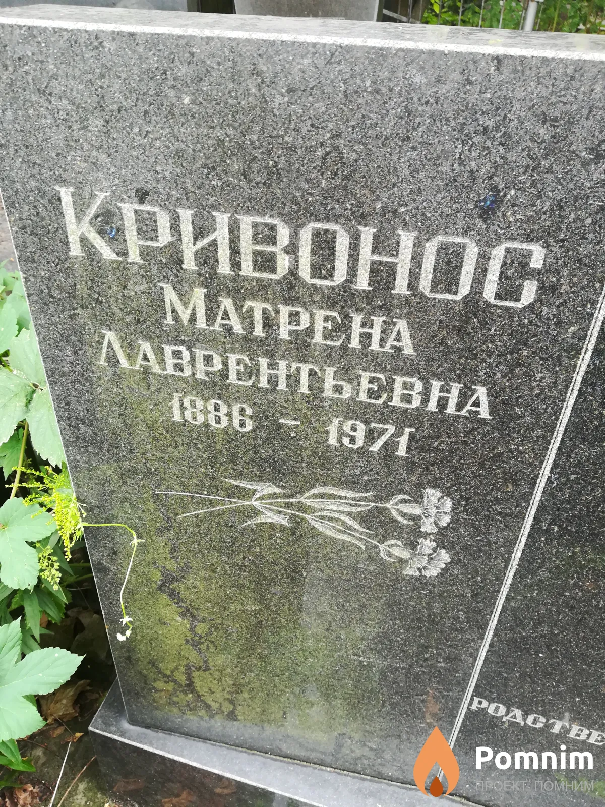 Кривонос Матрена Лаврентьевна