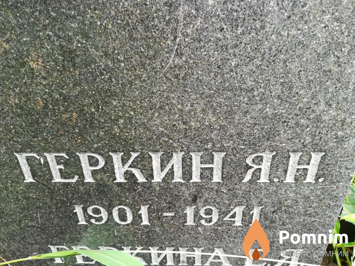 Геркин Я Н