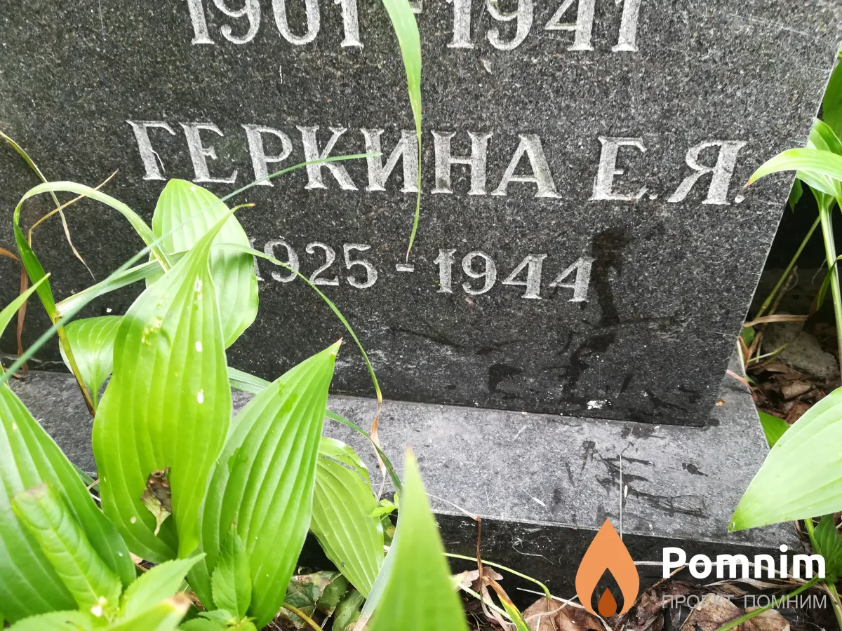 Геркина Е Я