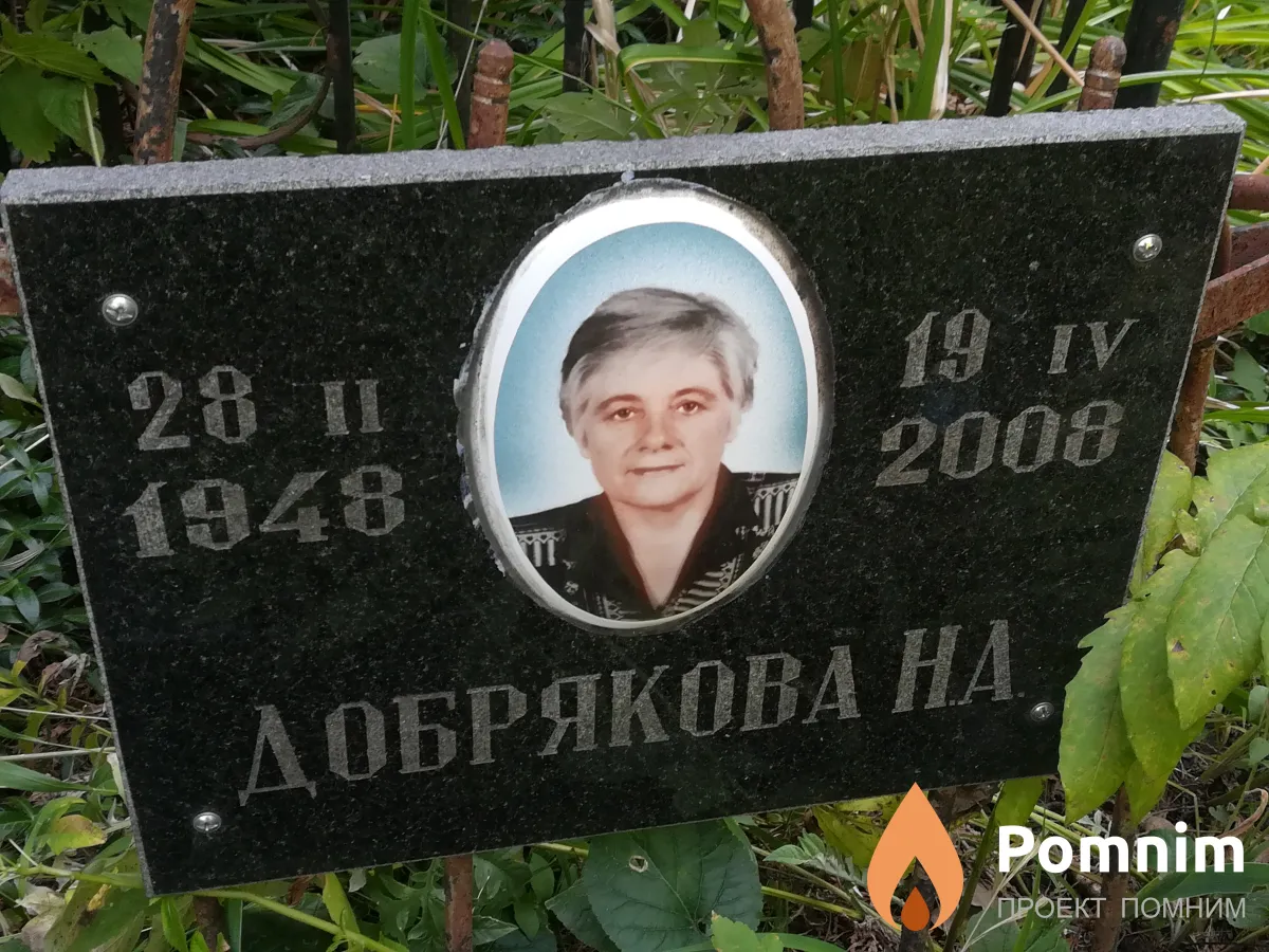 Добрякова Н А