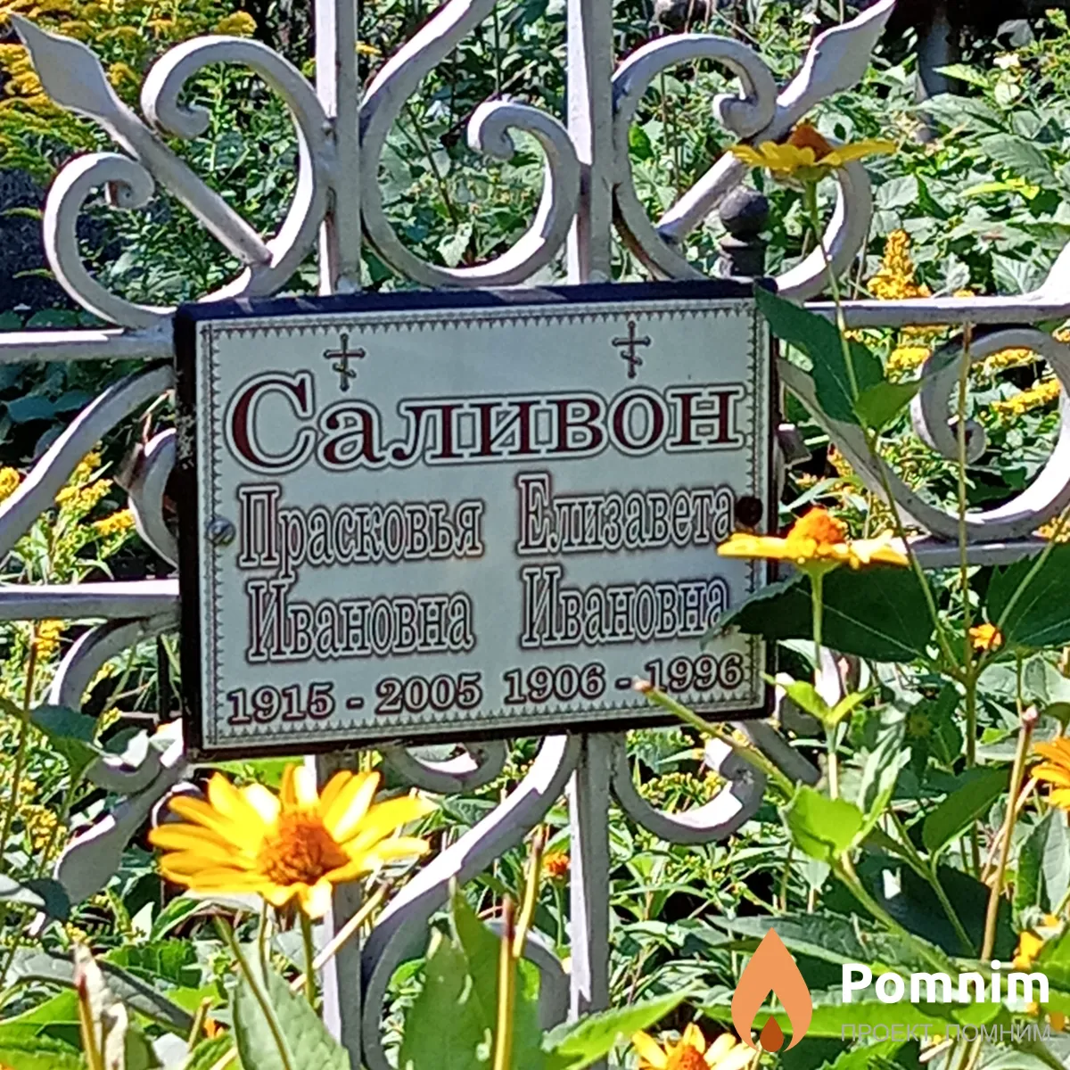 Саливон Елизавета Ивановна