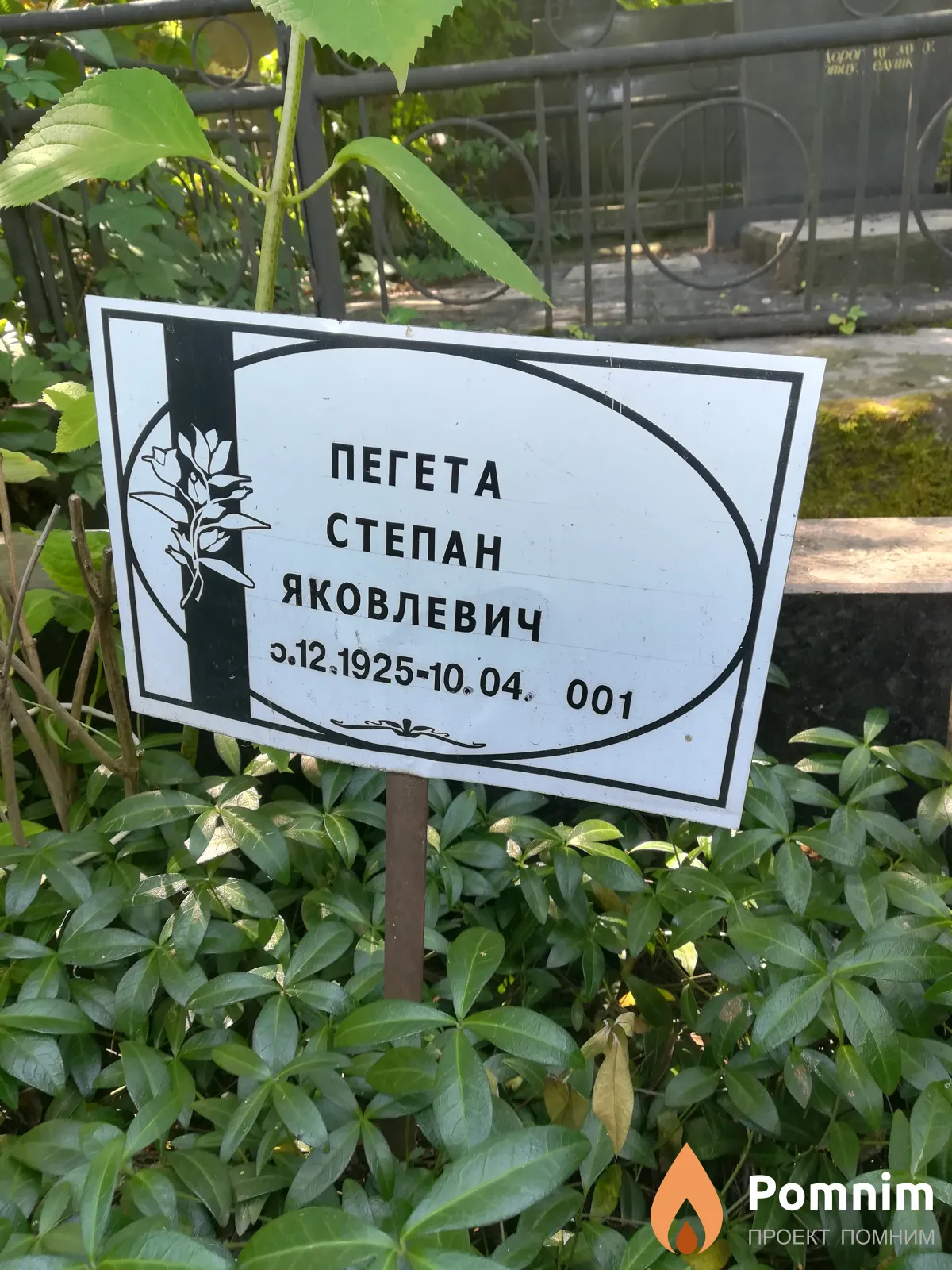 Пегета Степан Яковлевич