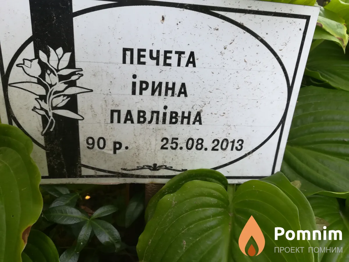 Пегета Ирина Павловна