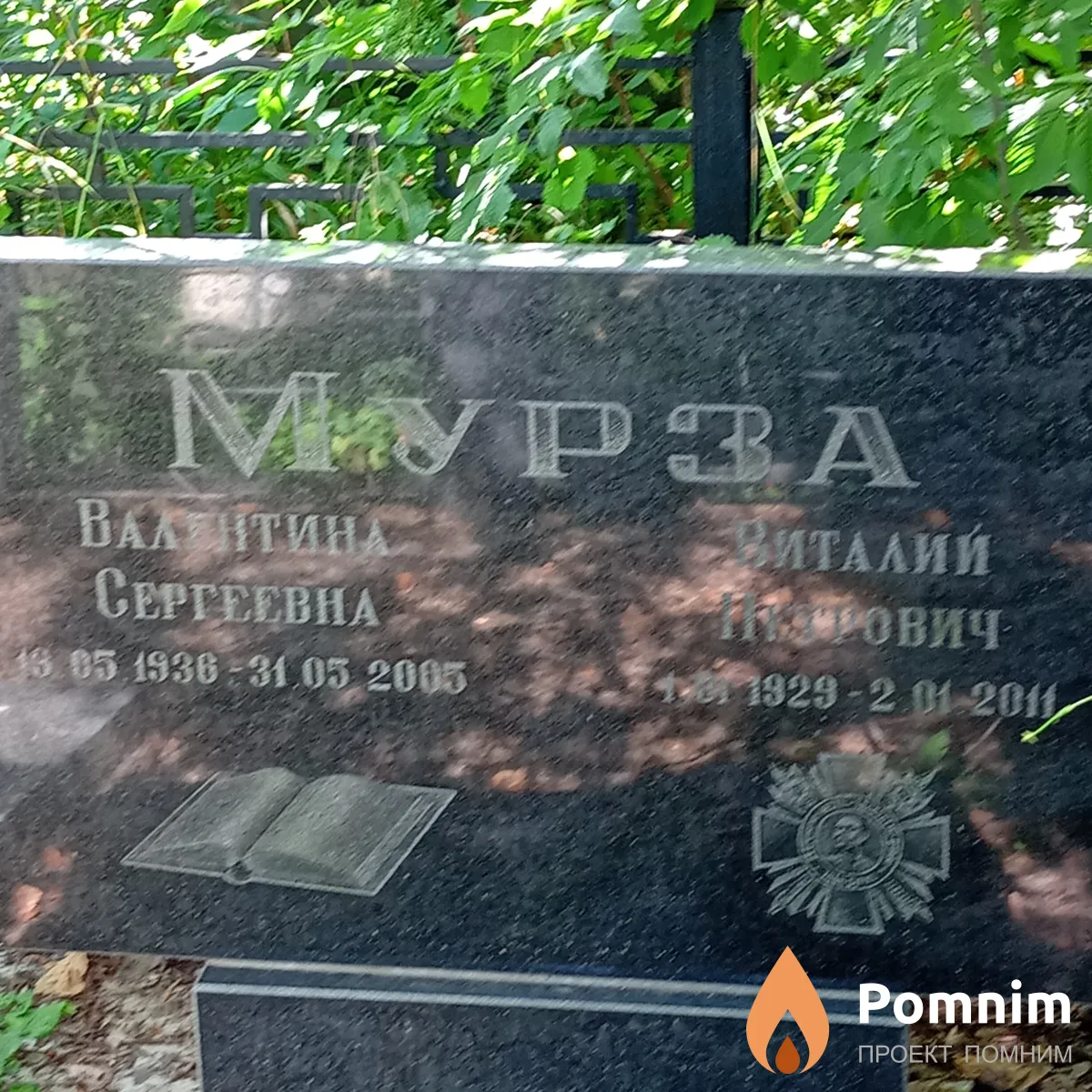 Мурза Виталий Петрович