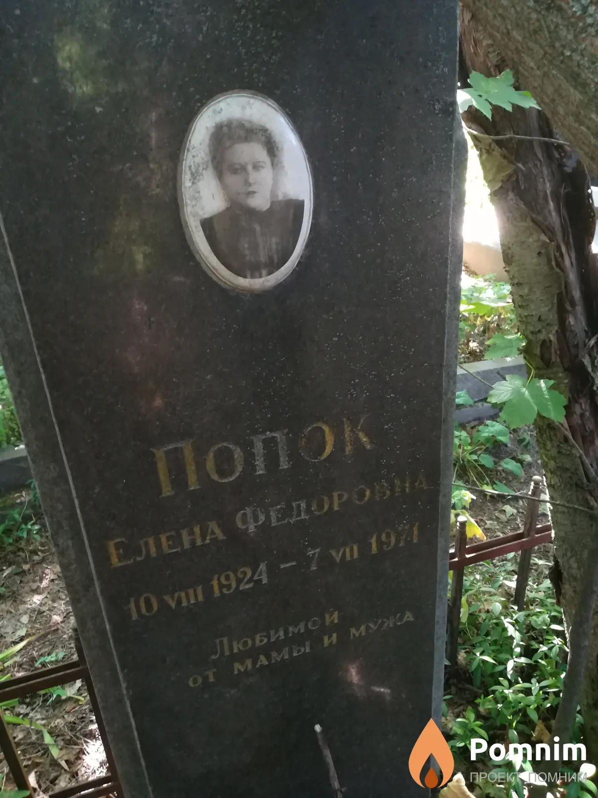 Попок Елена Федоровна