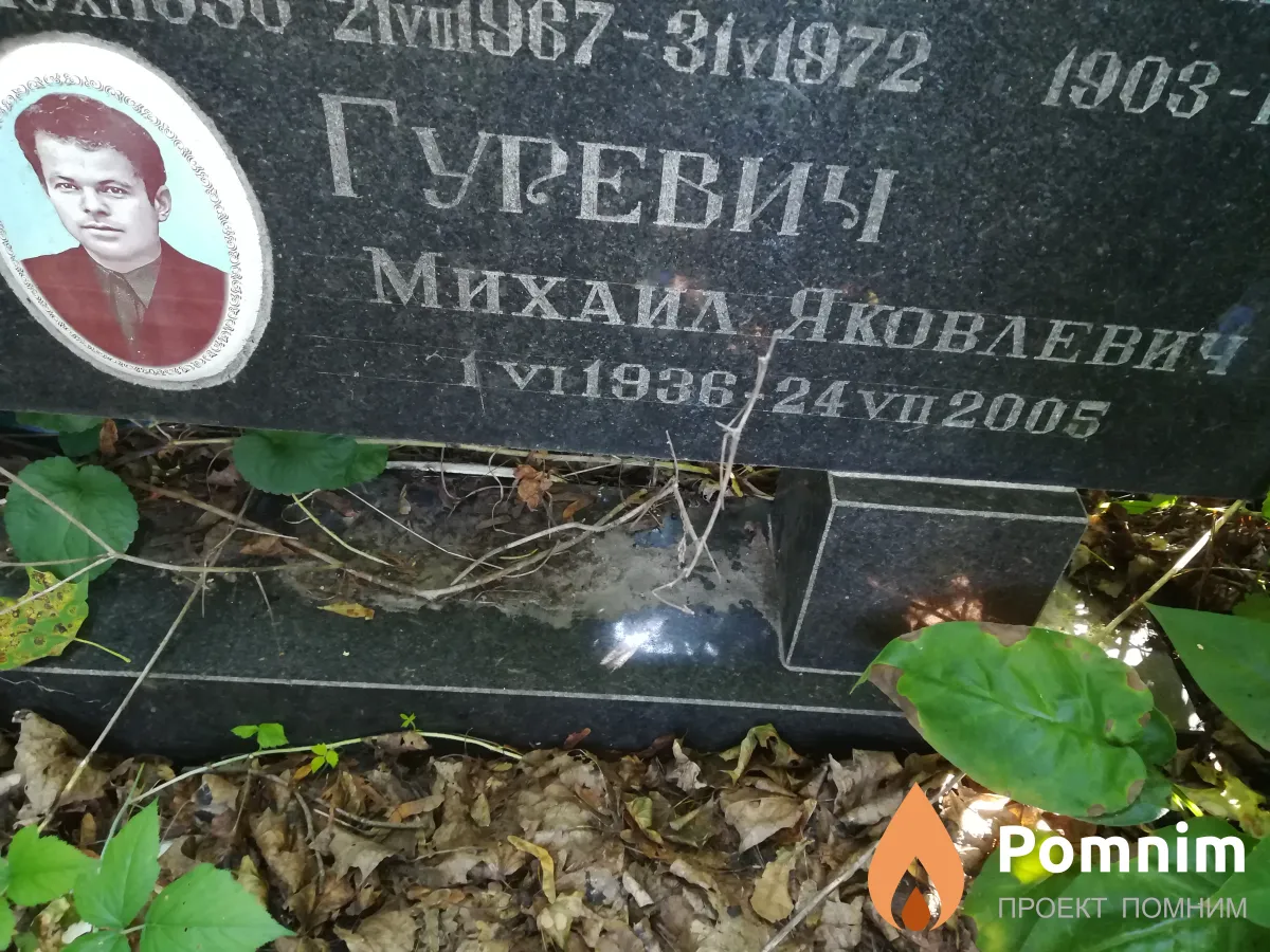 Гуревич Михаил Яковлевич