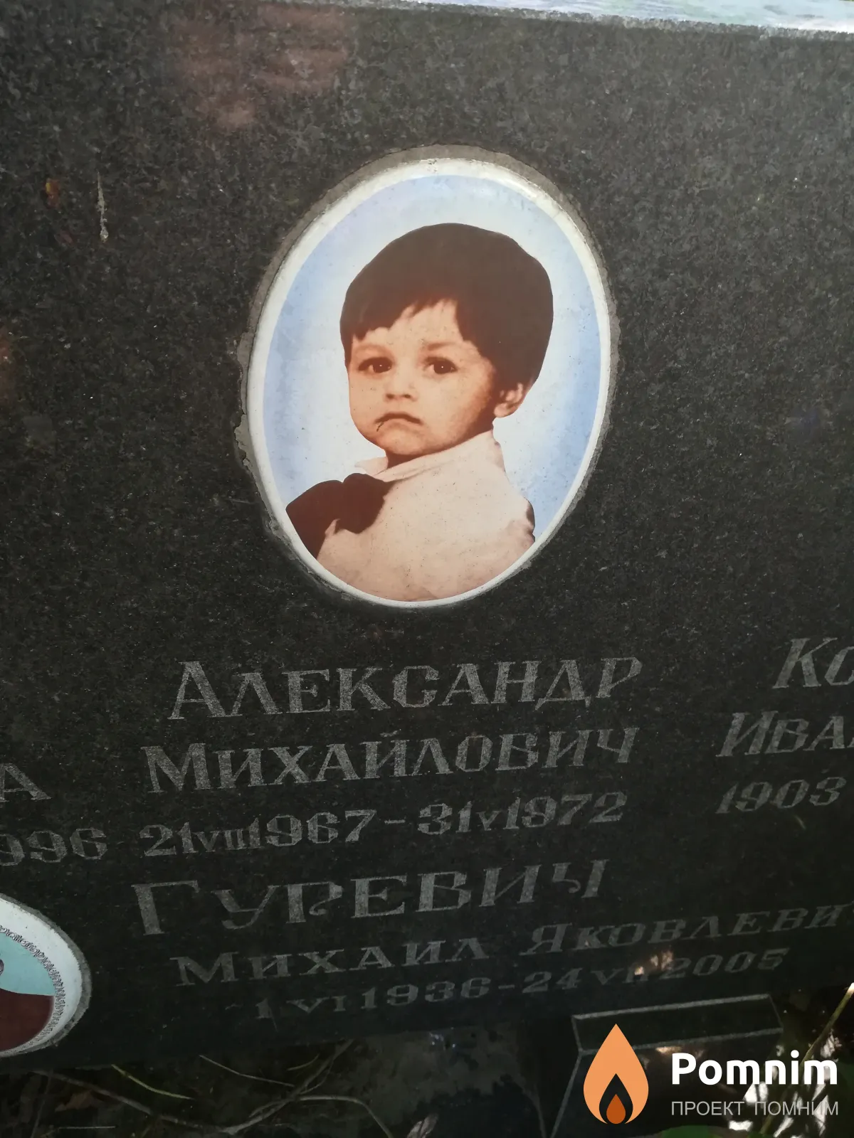 Гуревич Александр Михайлович