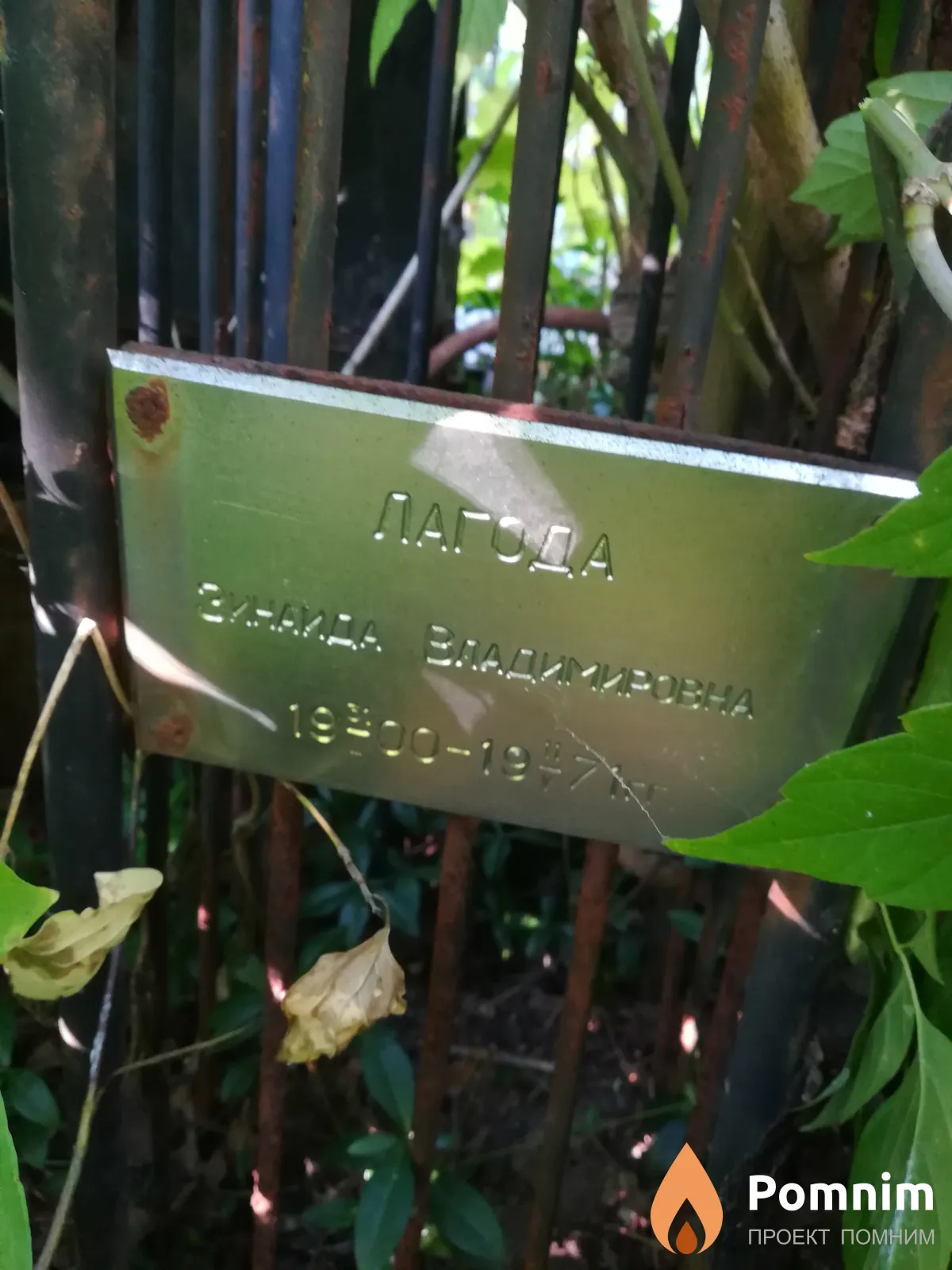 Лагода Зинаида Владимировна