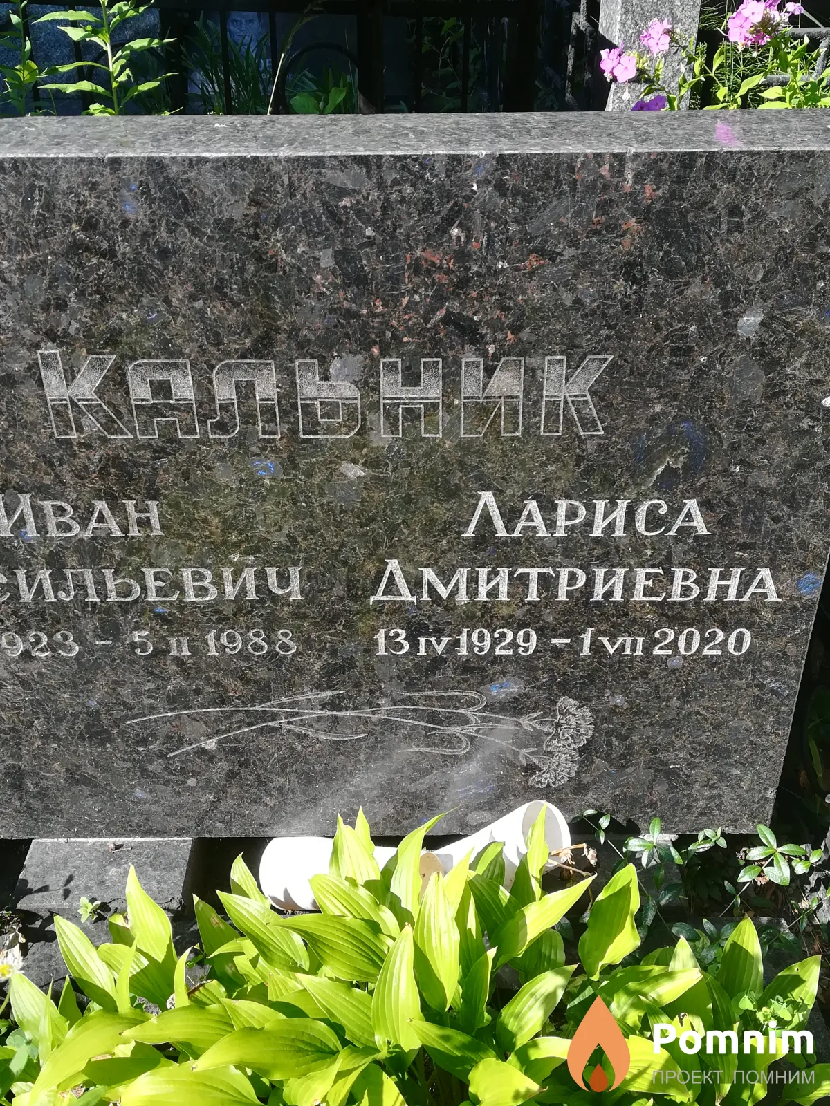 Кальник Лариса Дмитриевна