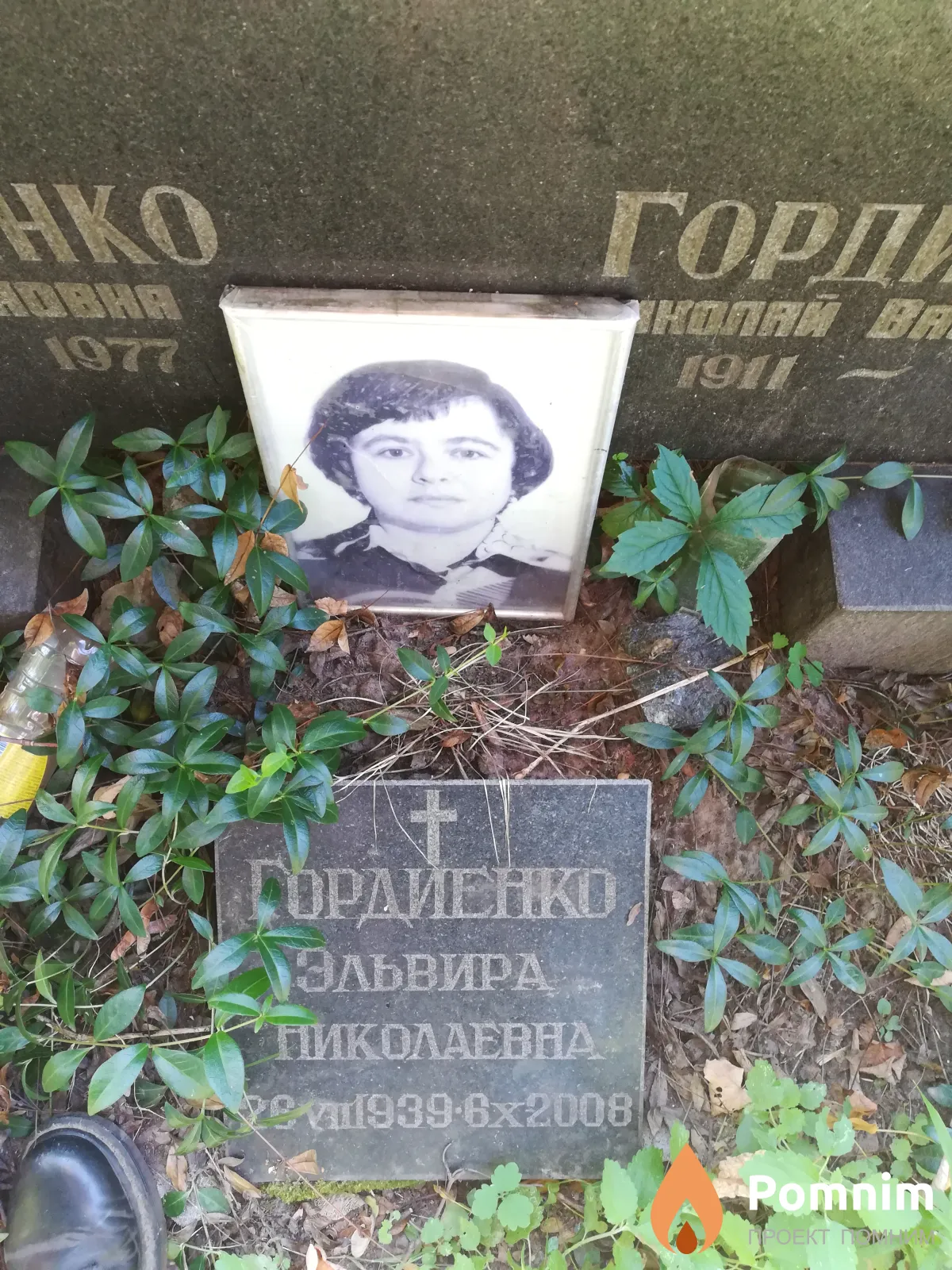 Гордиенко Эльвира Николаевна