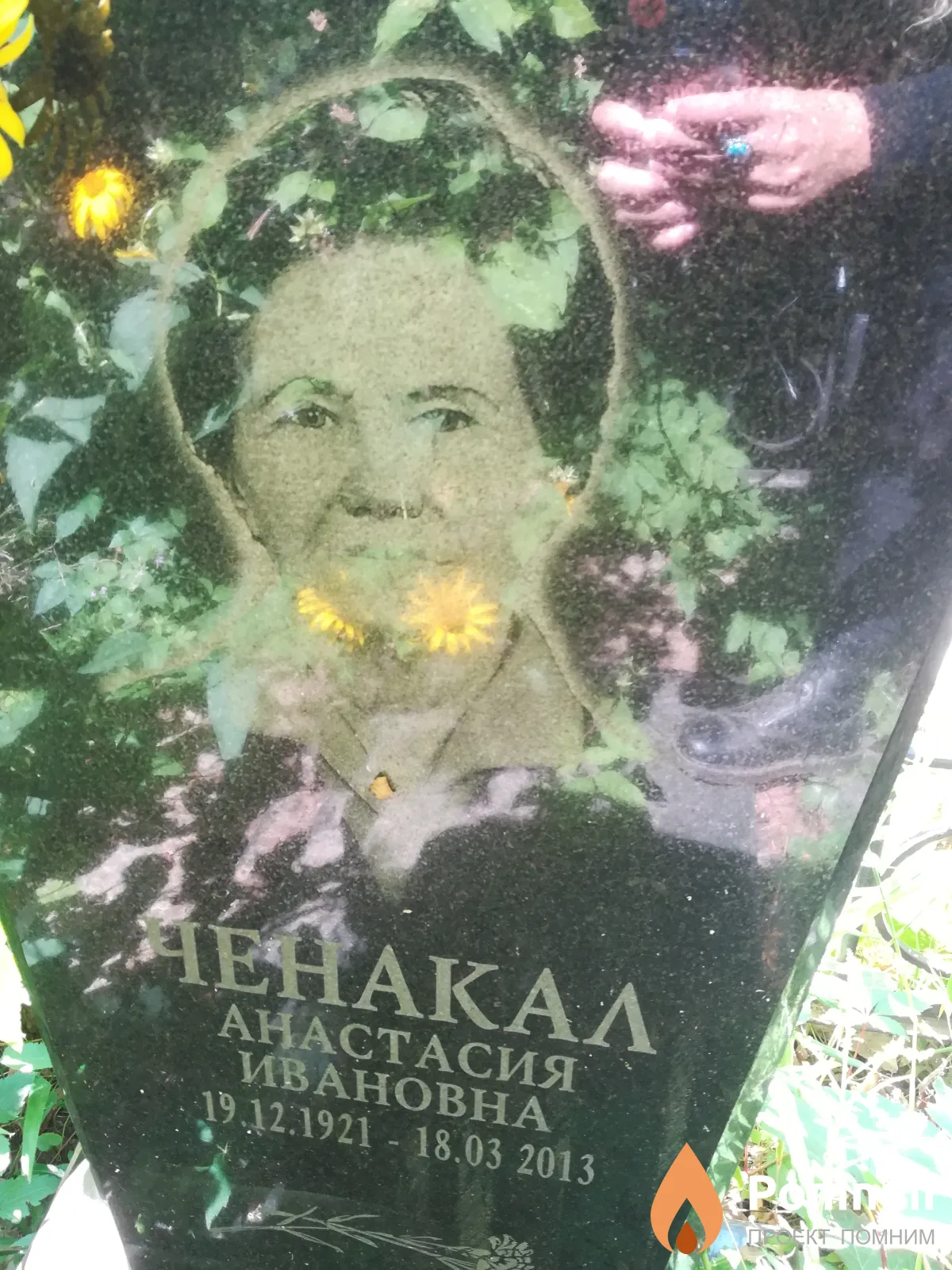 Ченакал Анастасия Ивановна