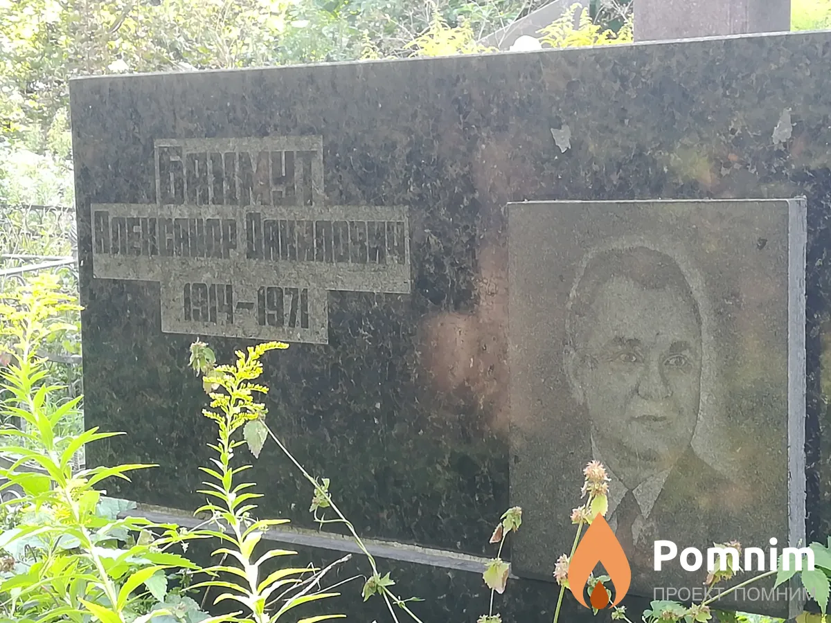 Бахмут Александр Данилович